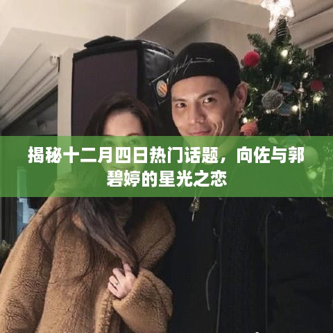 揭秘向佐与郭碧婷的星光之恋，十二月四日热议话题揭秘