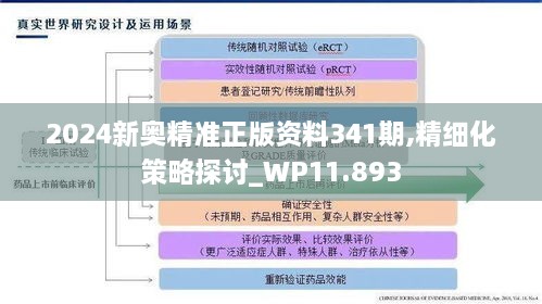 2024新奥精准正版资料341期,精细化策略探讨_WP11.893