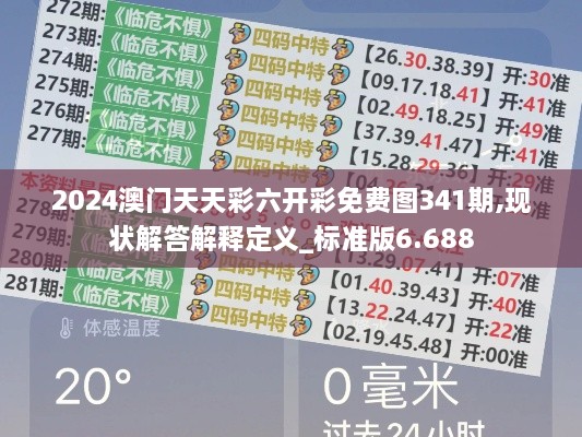 2024澳门天天彩六开彩免费图341期,现状解答解释定义_标准版6.688