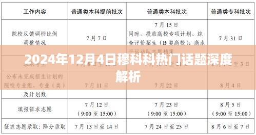 穆科科热门话题深度解析，聚焦2024年12月4日