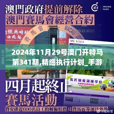 2024年11月29号澳门开特马第341期,精细执行计划_手游版8.792