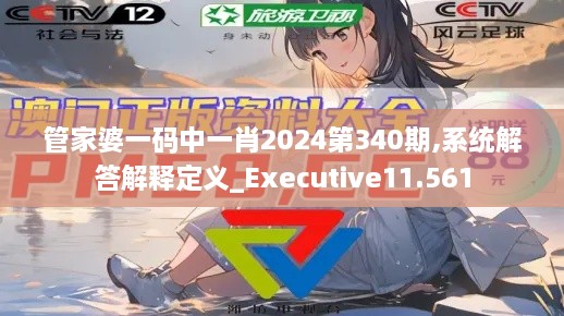 管家婆一码中一肖2024第340期,系统解答解释定义_Executive11.561