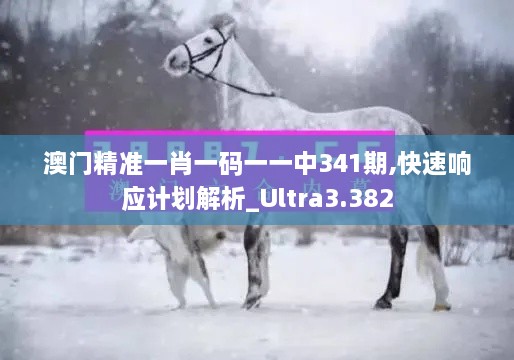 澳门精准一肖一码一一中341期,快速响应计划解析_Ultra3.382