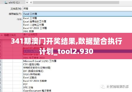 341期澳门开奖结果,数据整合执行计划_tool2.930