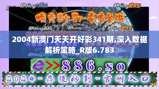 2004新澳门天天开好彩341期,深入数据解析策略_R版6.783