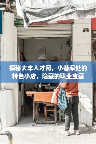 探秘大丰人才网，小巷深处的职业宝藏之旅