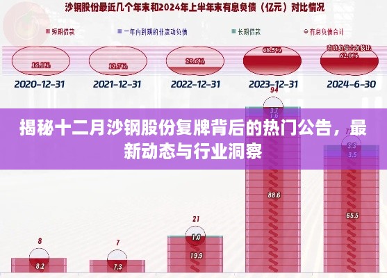 揭秘沙钢股份复牌背后的热门公告与行业洞察，最新动态一览