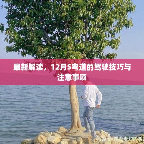 12月S弯道驾驶技巧与注意事项最新解读