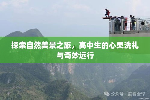 高中生自然探索之旅，心灵洗礼与奇妙远行