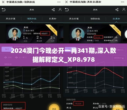 2024澳门今晚必开一肖341期,深入数据解释定义_XP8.978