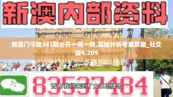 新澳门今晚341期必开一肖一特,实地分析考察数据_社交版4.209