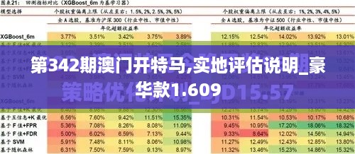 第342期澳门开特马,实地评估说明_豪华款1.609