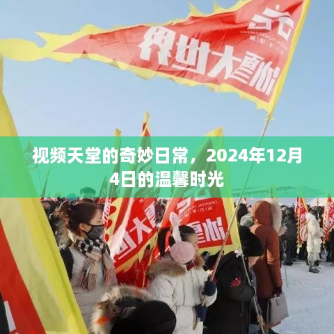 视频天堂的温馨时光，奇妙日常记录于2024年12月4日