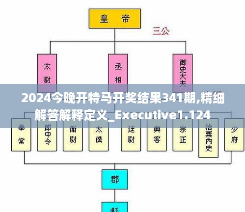 2024今晚开特马开奖结果341期,精细解答解释定义_Executive1.124