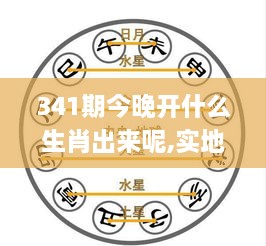 341期今晚开什么生肖出来呢,实地解答解释定义_6DM19.852