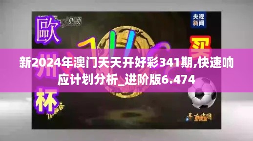 新2024年澳门天天开好彩341期,快速响应计划分析_进阶版6.474