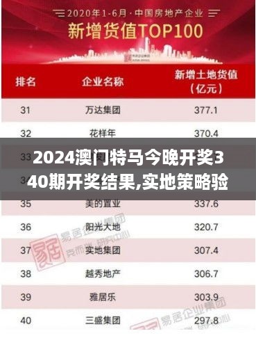 2024澳门特马今晚开奖340期开奖结果,实地策略验证计划_社交版6.122