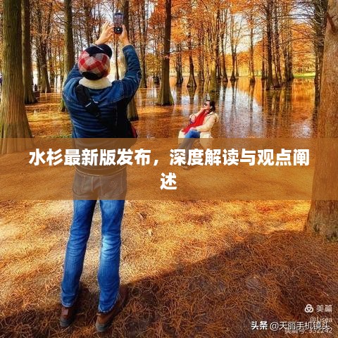 水杉最新版发布，深度解读与观点阐述