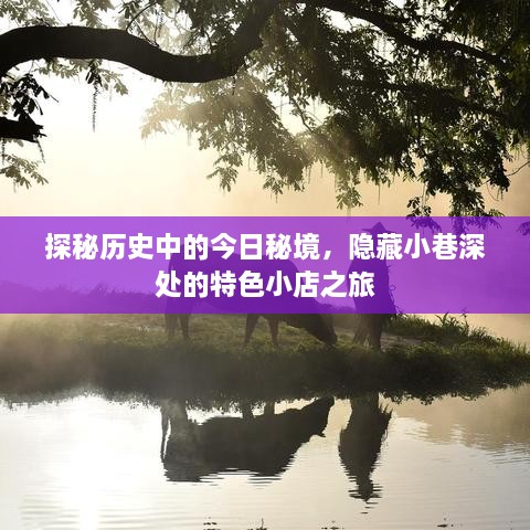 探秘历史秘境，小巷深处的特色小店之旅