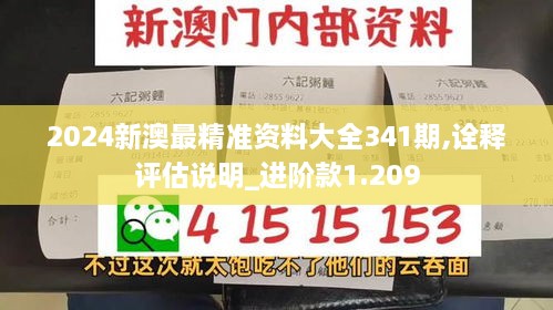 2024新澳最精准资料大全341期,诠释评估说明_进阶款1.209