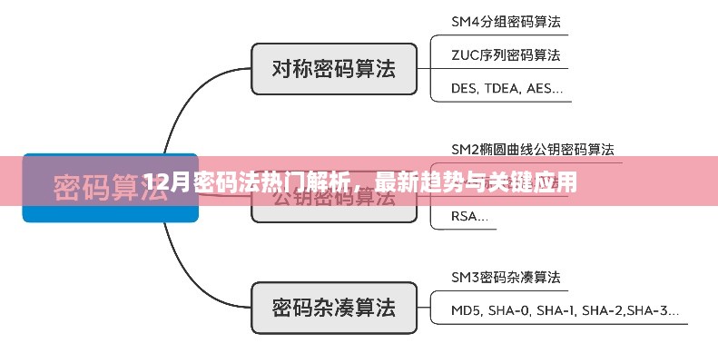 12月密码法热门解析，最新趋势与关键应用概览