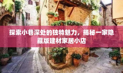 深藏小巷的建材家居宝藏，独特魅力与隐秘小店的揭秘