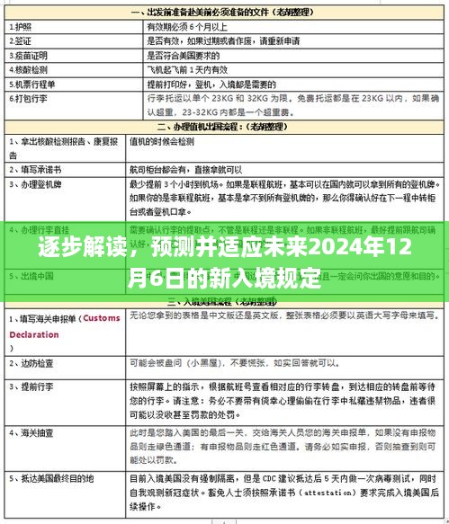 逐步解读，预测并适应未来2024年12月6日的新入境规定