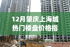 12月肇庆上海城楼盘价格指南，购房新手必备参考