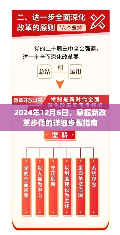 掌握新改革步伐，详细步骤指南（2024年12月6日版）