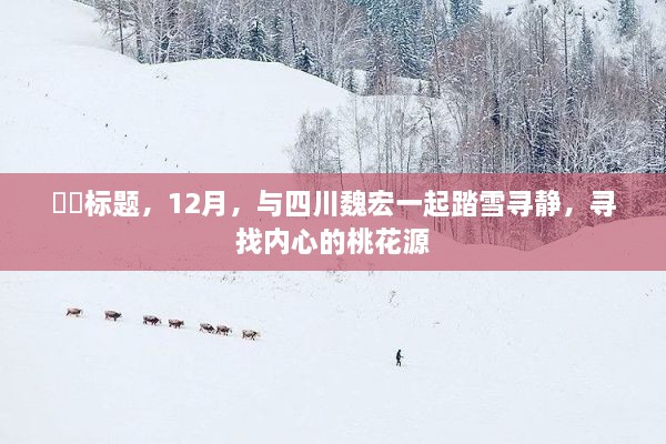 踏雪寻静，四川魏宏引领心灵之旅至内心的桃花源