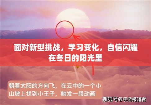 面对新型挑战，冬日的阳光中自信闪耀的学习之旅