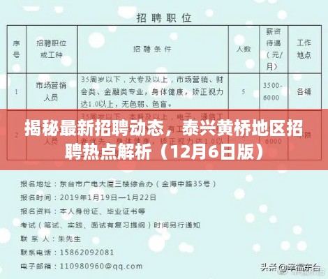 揭秘最新招聘动态，泰兴黄桥地区招聘热点深度解析（最新资讯）