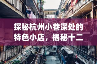 探秘杭州小巷特色小店与最新房价，深度体验杭州生活十二月纪实