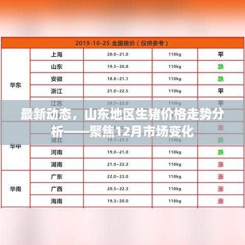 山东地区生猪价格最新走势分析，聚焦12月市场动态