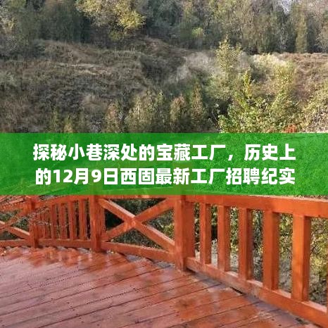 探秘小巷深处的宝藏工厂，西固最新工厂招聘纪实，历史性的12月9日揭秘日