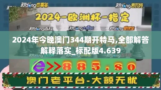 2024年今晚澳门344期开特马,全部解答解释落实_标配版4.639