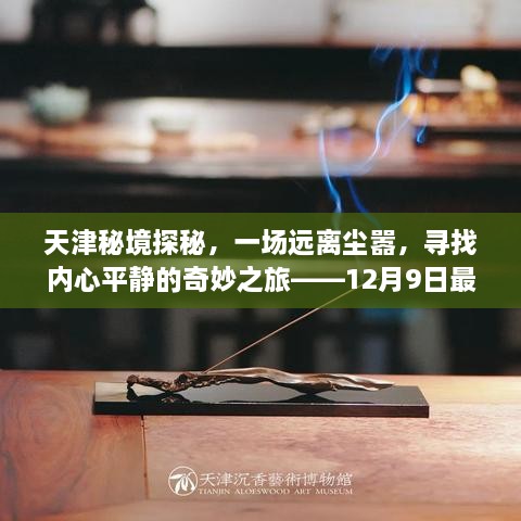 天津秘境探秘，最新情报，寻找内心平静的奇妙之旅