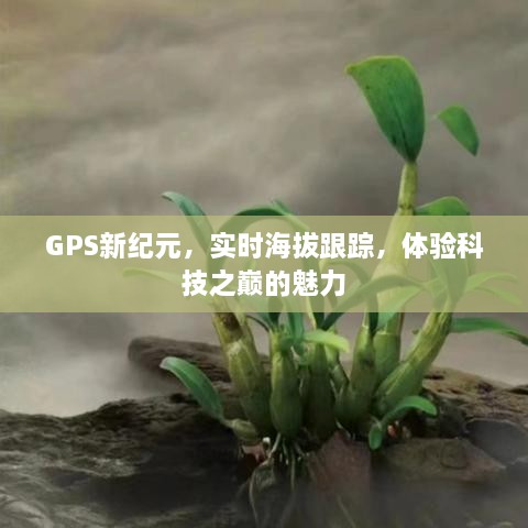 GPS新纪元，实时海拔跟踪，领略科技之巅的无限魅力