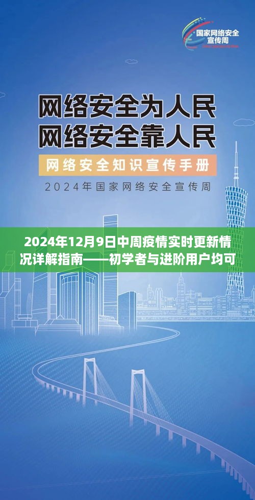 疫情动态更新，初学者与进阶用户指南——2024年12月9日中周疫情详解