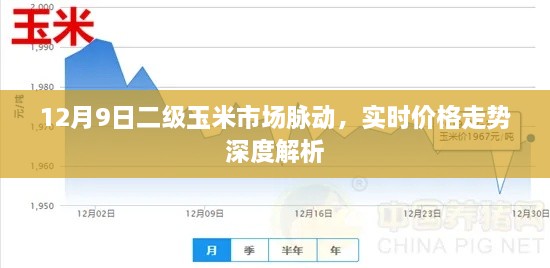 12月9日二级玉米市场实时价格走势深度解析