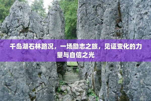 千岛湖石林路况，励志之旅见证变化的力量与自信之光