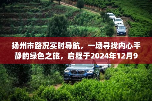 扬州市路况实时导航，启程于冬日，探寻内心平静的绿色之旅