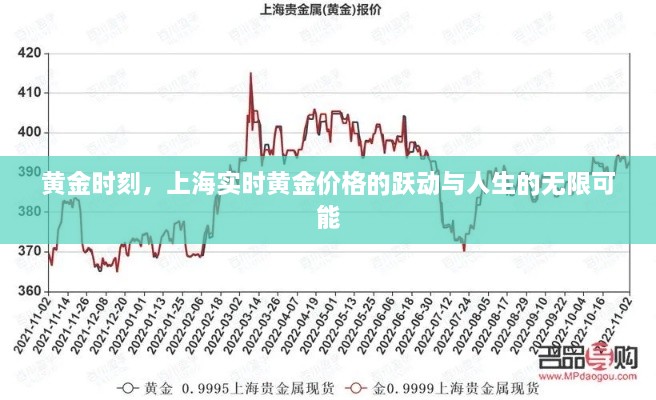 黄金时刻，上海黄金价格的跃动与人生无限可能探索