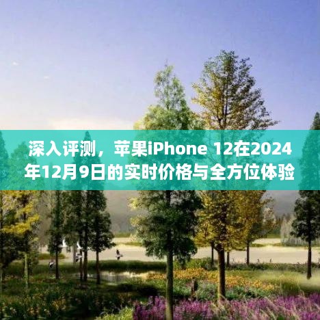 苹果iPhone 12全方位体验与实时价格分析，2024年12月9日深度评测报告