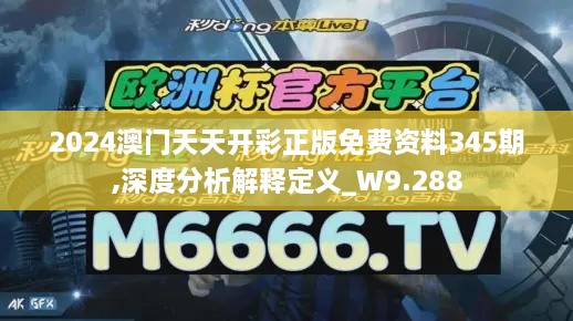 2024澳门天天开彩正版免费资料345期,深度分析解释定义_W9.288