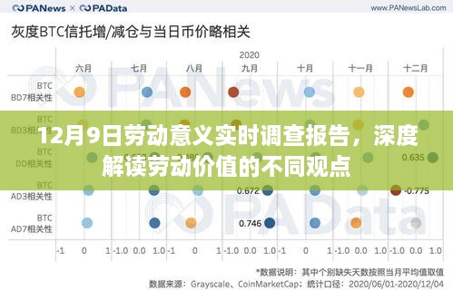 12月9日劳动意义实时调查报告，深度解读劳动价值的多元视角