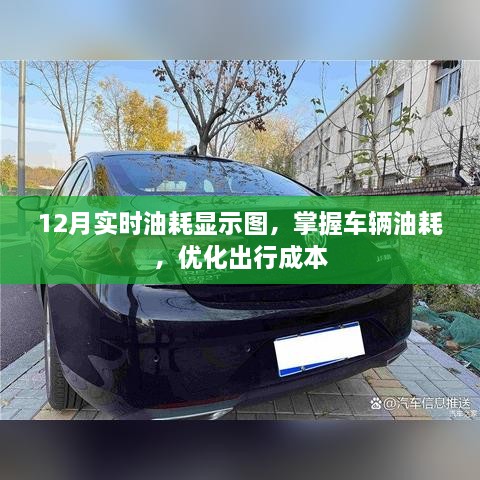 12月实时油耗监控图，优化出行成本，掌握车辆油耗状况