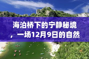 海泊桥下的秘境，自然之旅的温馨篇章（12月9日）