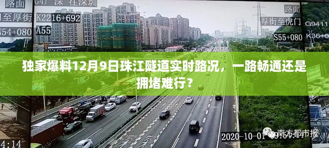 独家揭秘，珠江隧道实时路况播报，路况如何？畅通还是拥堵？