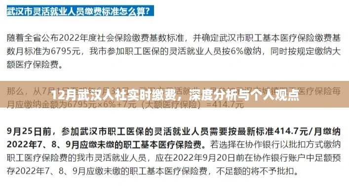 12月武汉人社实时缴费，深度分析与个人观察